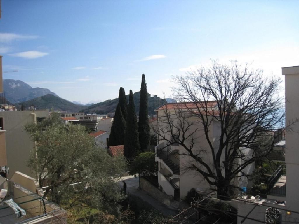 Апартаменты Apartment Stana Петровац